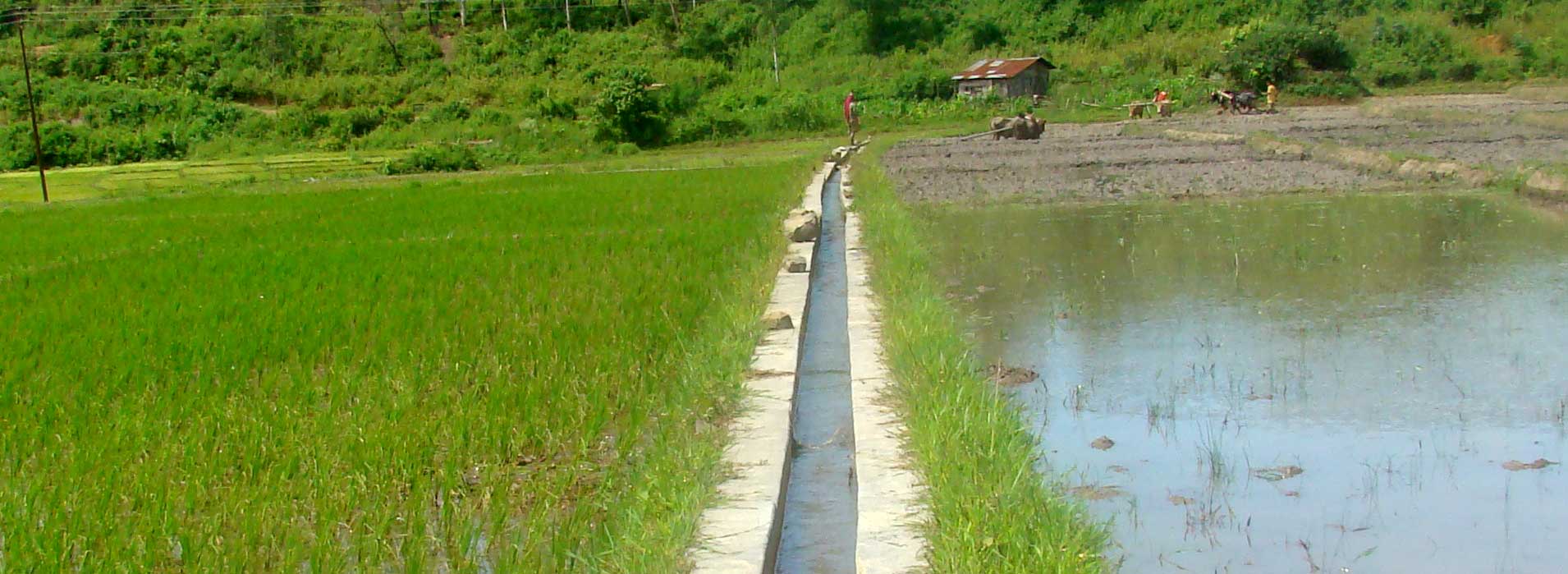 Lined Field Channel at Duri Kodom, Senapati Dist.