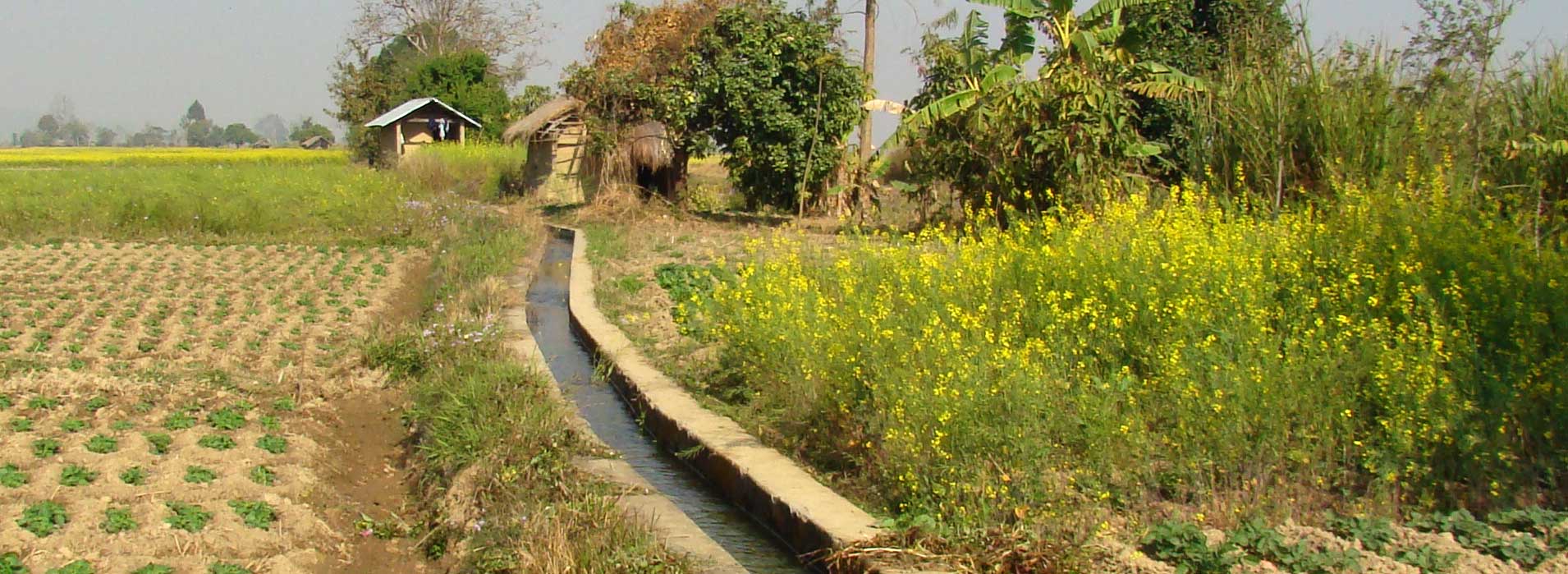Field Channel at Khoijuman, Bishnupur